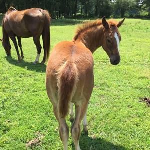 Meet your Posher, Lois